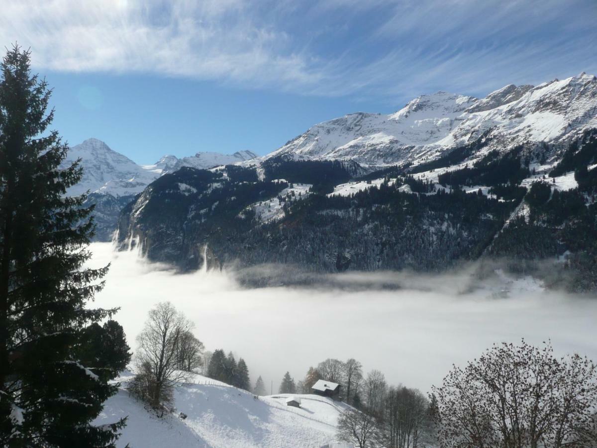 Holiday Flat #1, Chalet Aberot, Wengen, Switzerland Luaran gambar
