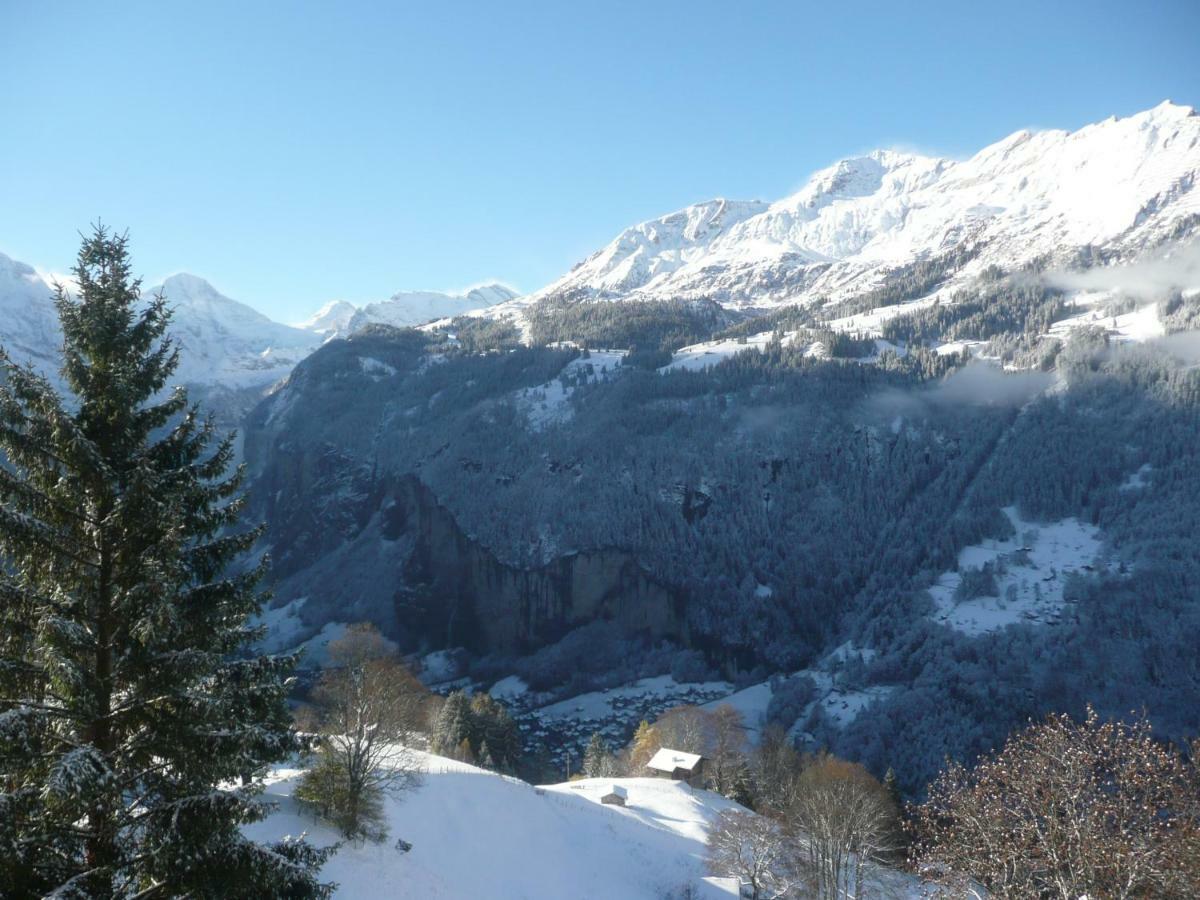 Holiday Flat #1, Chalet Aberot, Wengen, Switzerland Luaran gambar